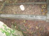 image of grave number 113634